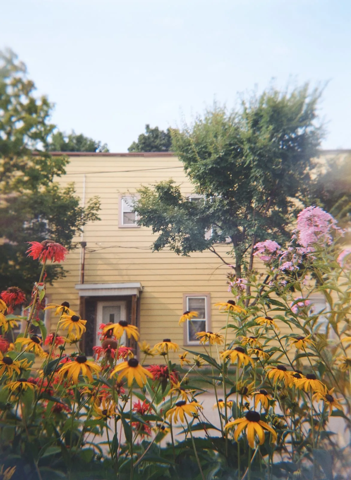 A photograph by Angela Westergreen