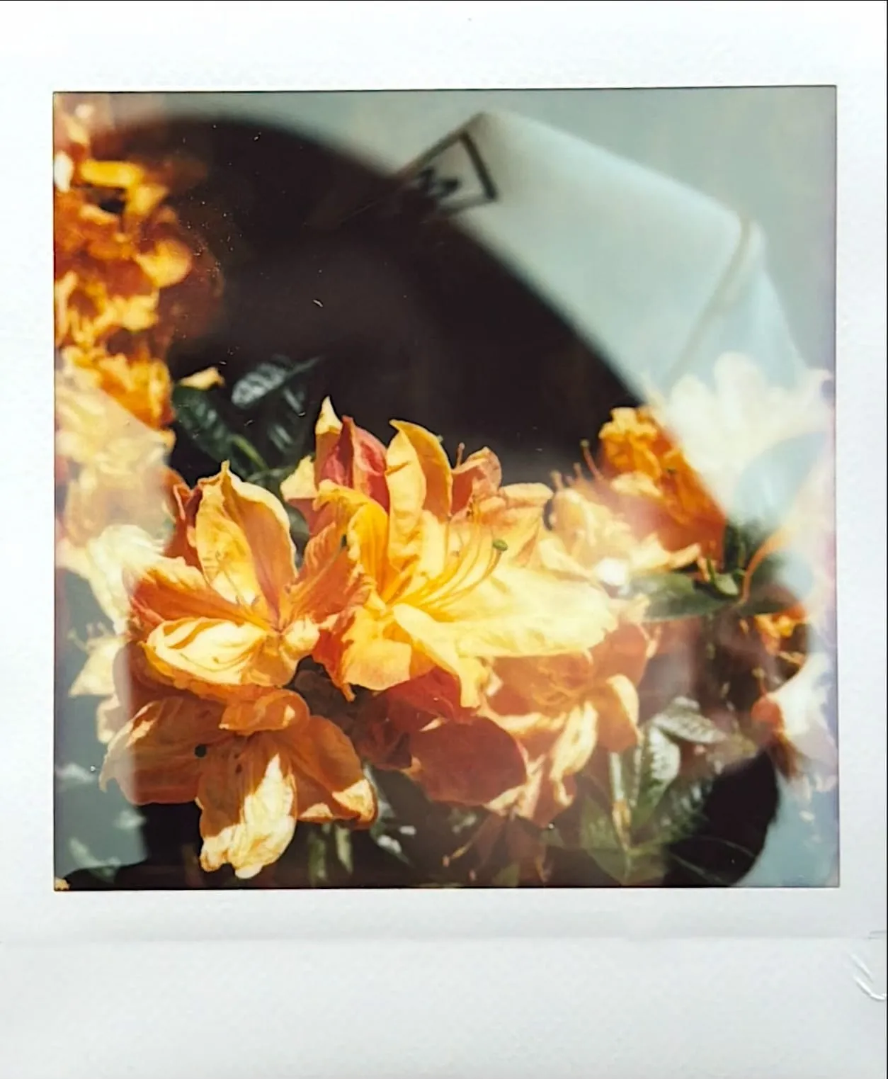 A photograph by Anna Sneesby