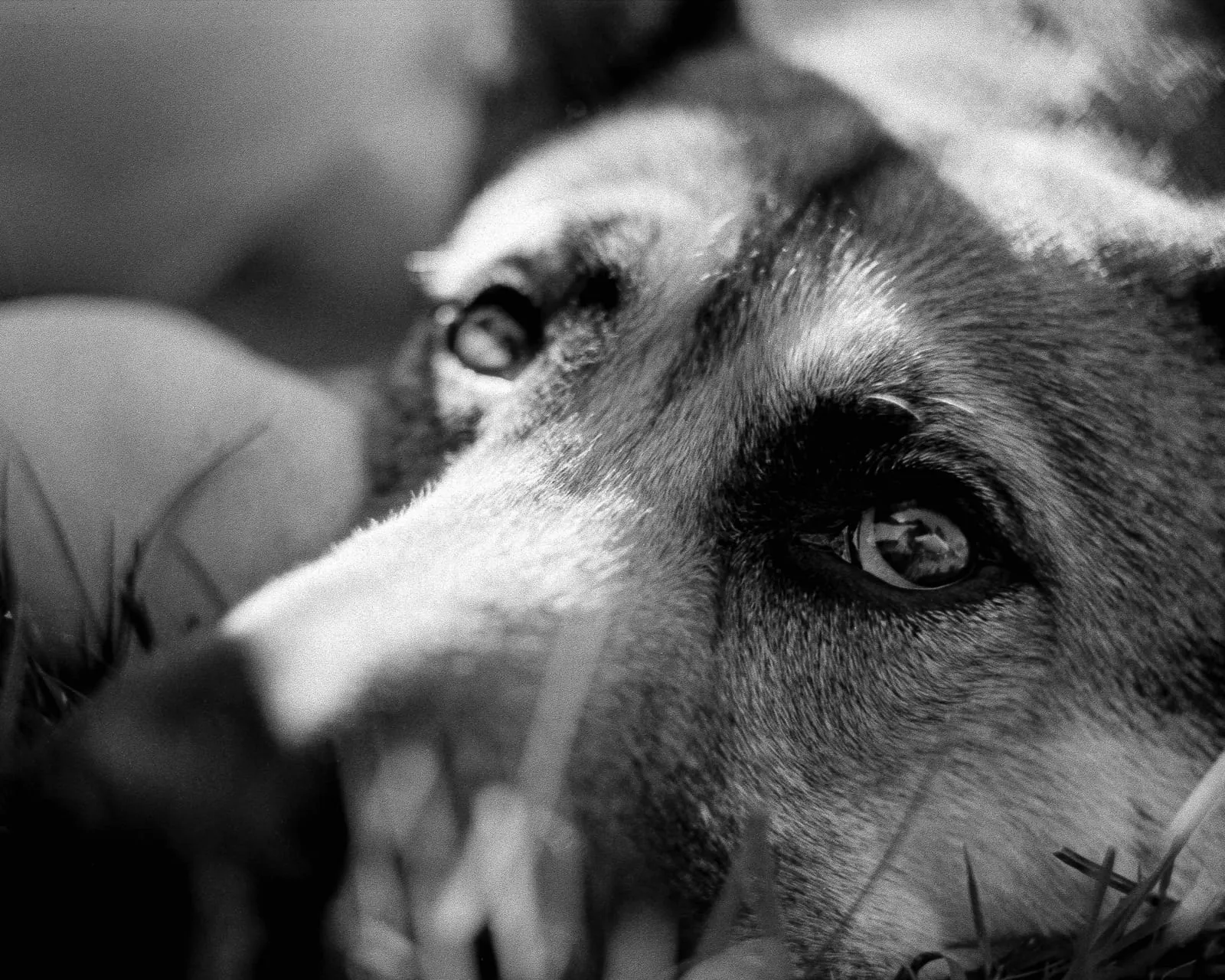 A photograph by Casey Thurman