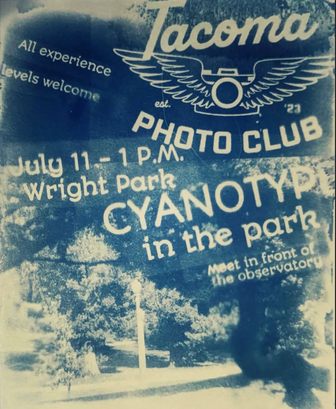 Flier for Cyanotype in the Park