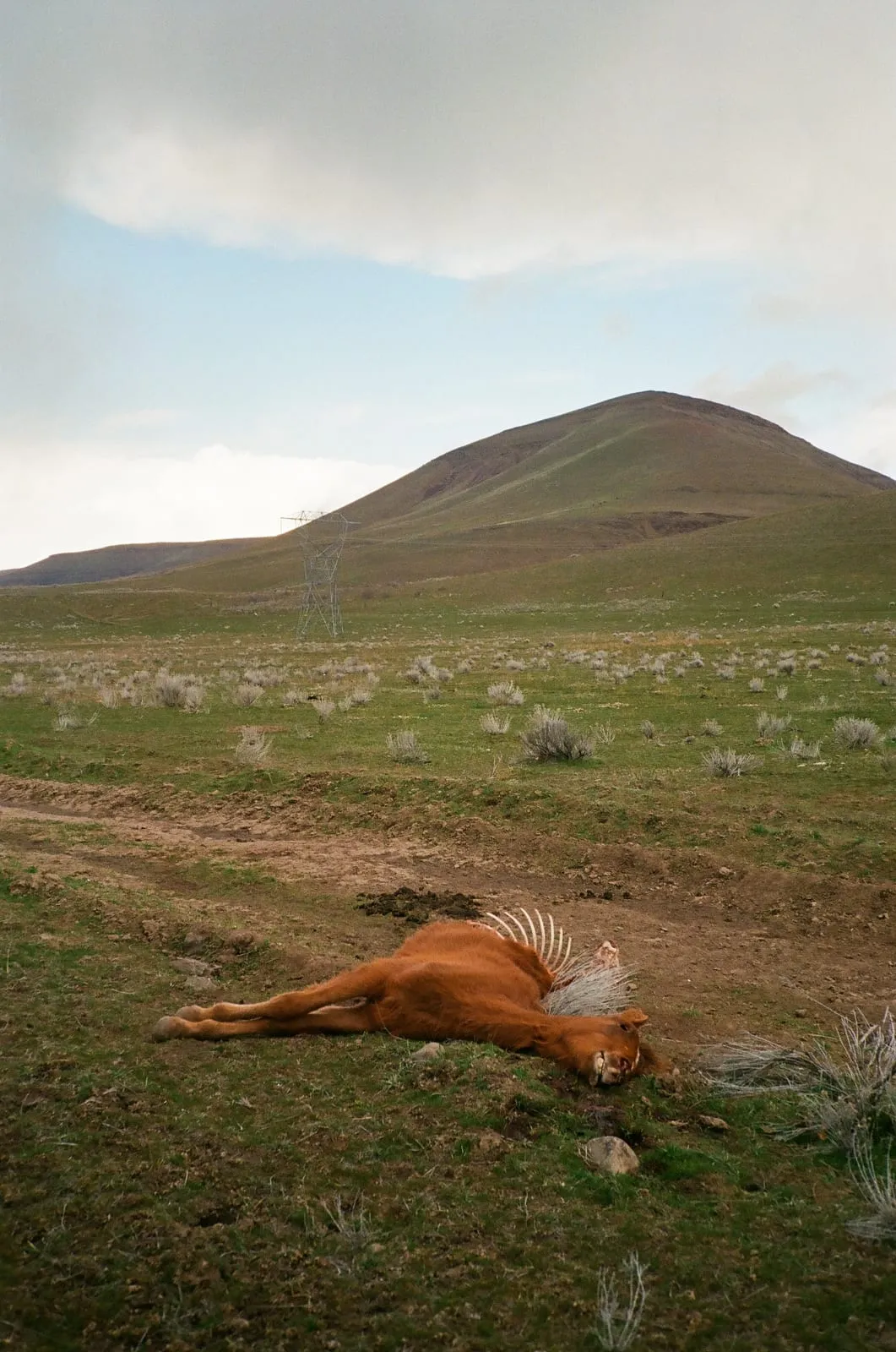A photograph by Ellen Rumel