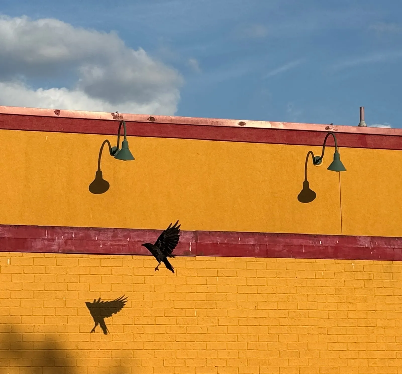 A photograph by Marji Lynn