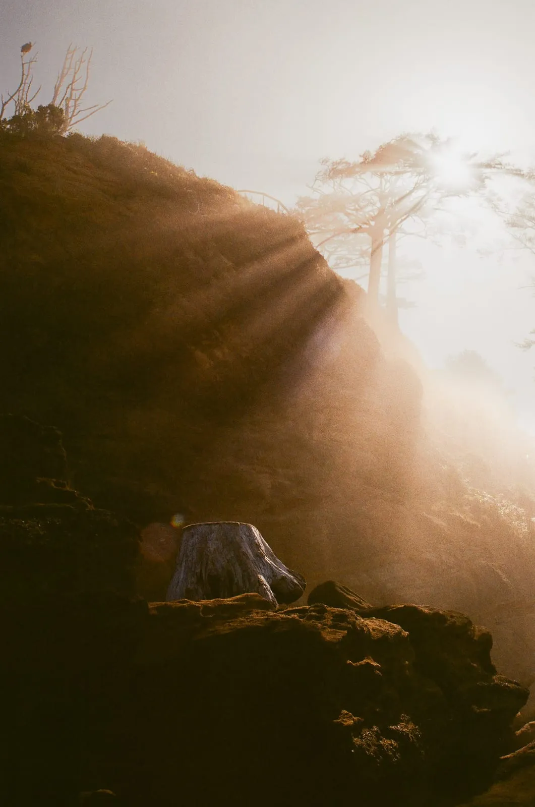A photograph by Melissa Jividan