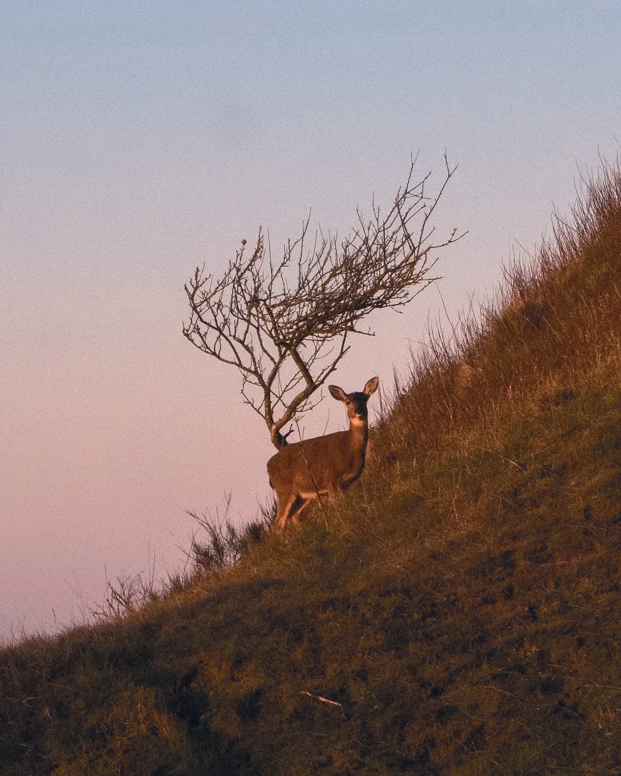 A photograph by Spencer Coons