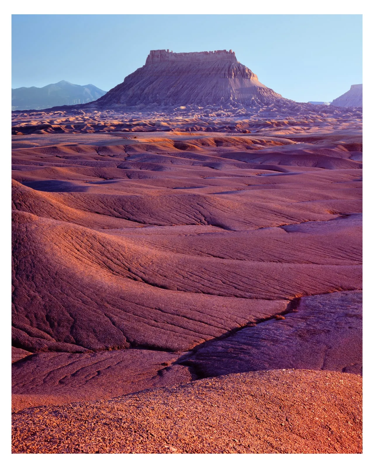 A photograph by Stephen Whitaker